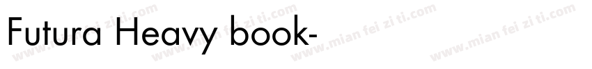 Futura Heavy book字体转换